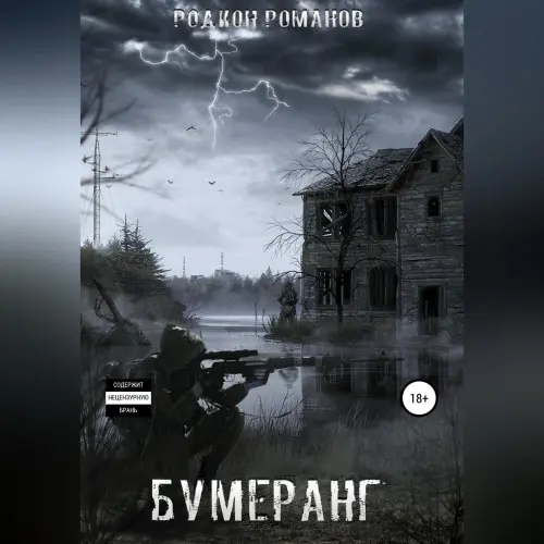 Обложка аудиокниги Бумеранг автора Романов Родион