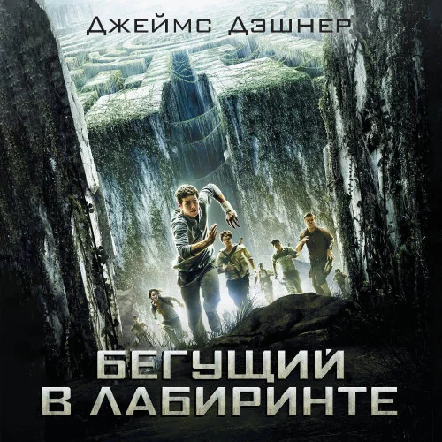 Обложка аудиокниги Бегущий в Лабиринте автора Дэшнер Джеймс